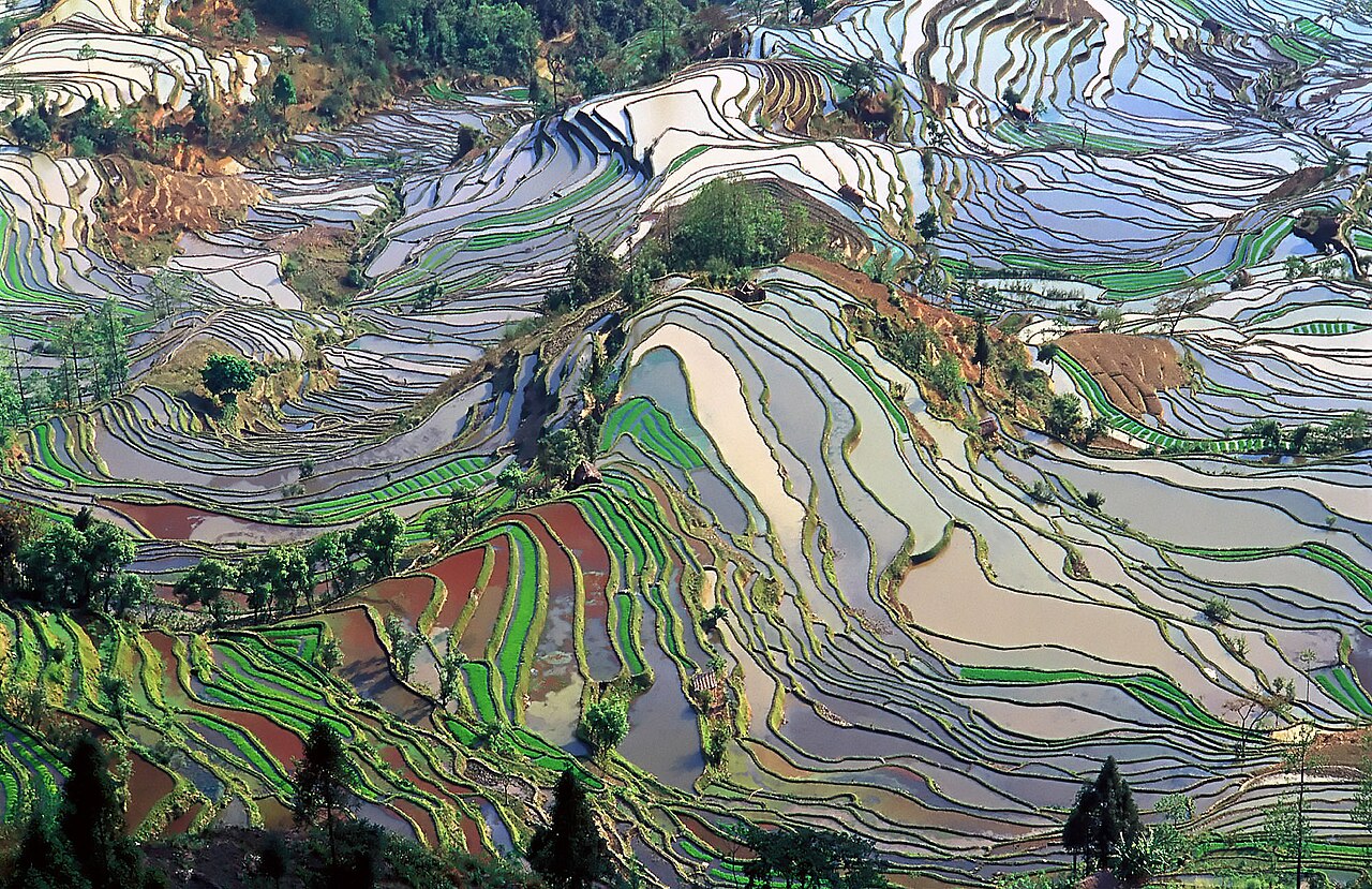 紅河ハニ棚田群の文化的景観