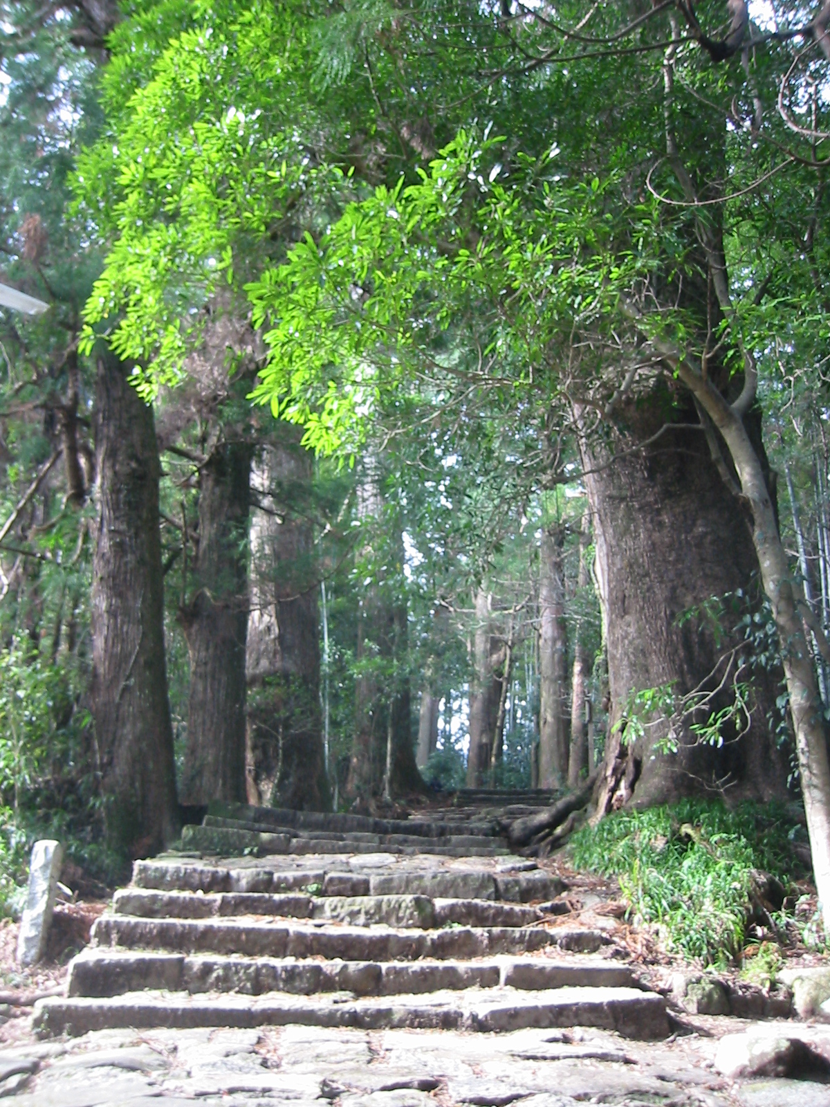 紀伊山地の霊場と参詣道
