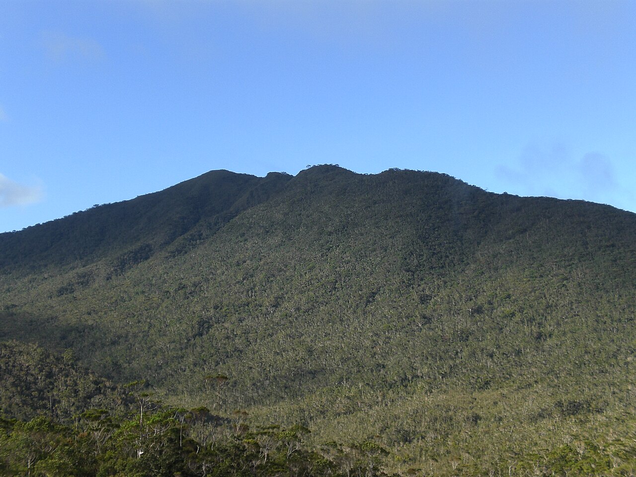 ハミギタン山岳野生生物保護区