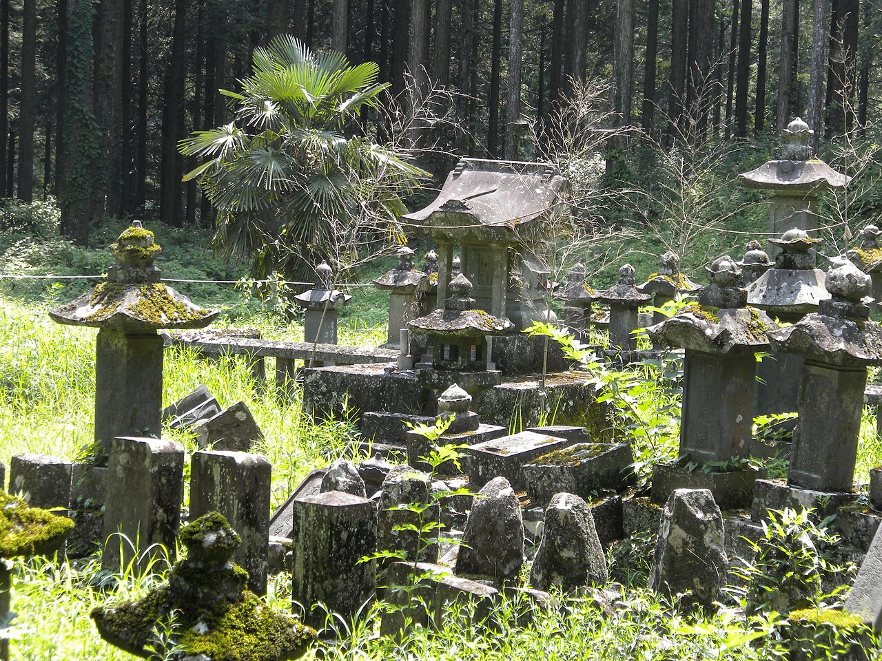 富士山―信仰の対象と芸術の源泉