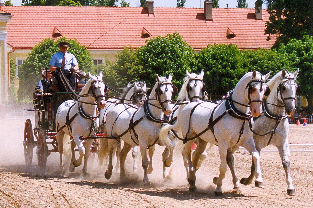 クラドルビー・ナド・ラベムの儀式用馬車馬の繁殖・訓練の景観