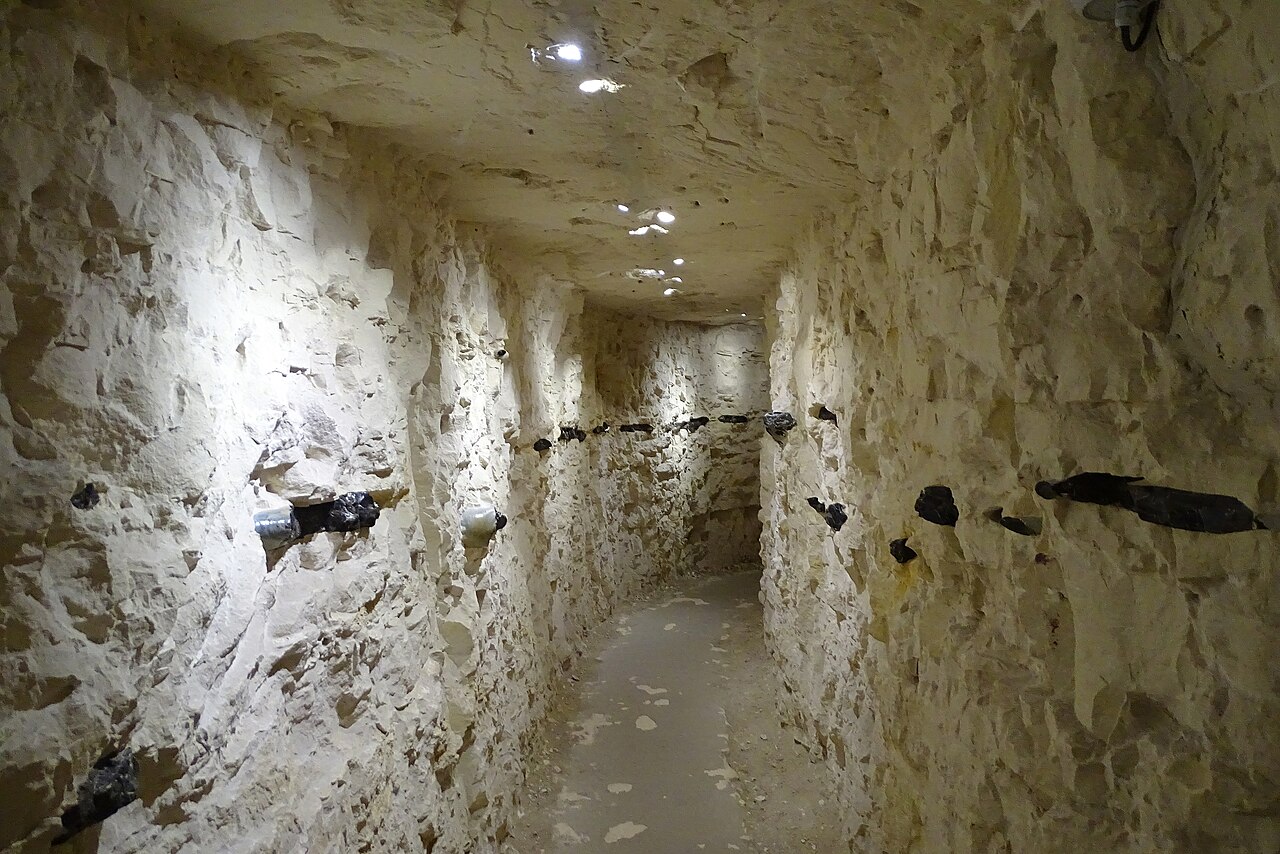 クシェミオンキ先史時代の縞状フリント採掘地域