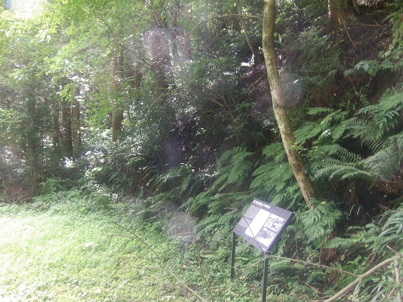 佐渡島の金山