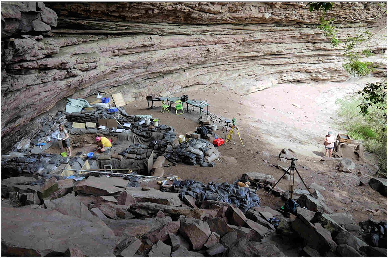 現生人類の行動の出現：南アフリカの更新世遺跡群
