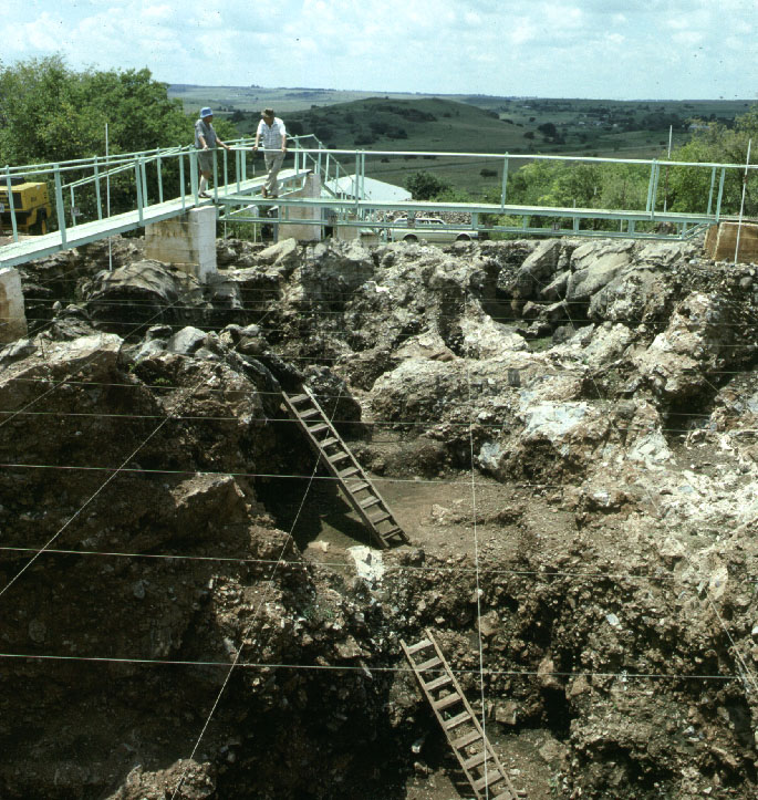 南アフリカの人類化石遺跡群