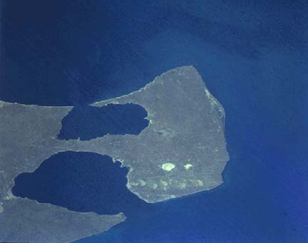バルデス半島